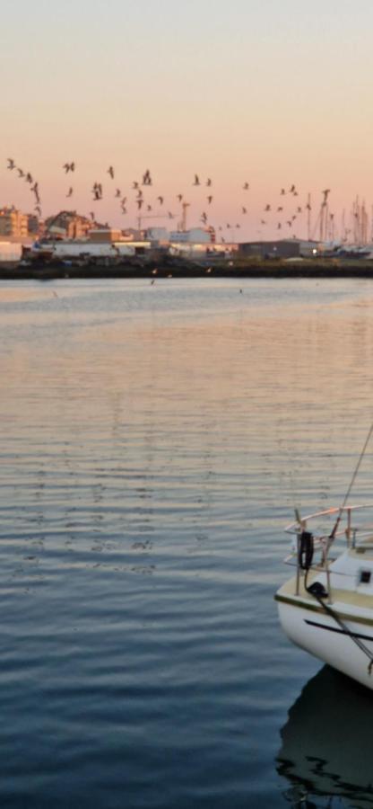 Floating Experience - Casa Flutuante A 25 Min Do Porto